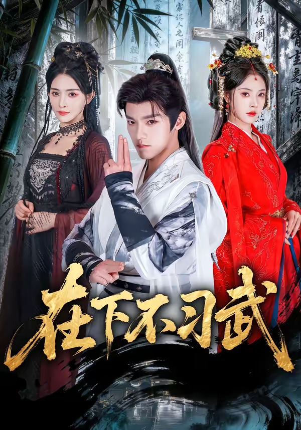 电影：在下不习武