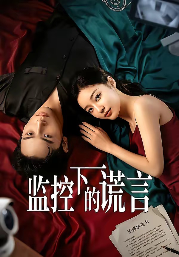 电影：监控下的谎言