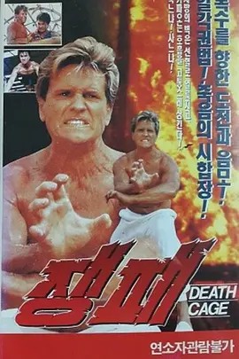 电影：搏击英雄