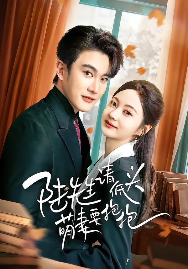 电影：陆先生请低头萌妻要抱抱