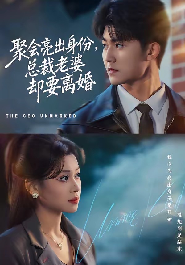 电影：聚会亮出身份，总裁老婆却要离婚