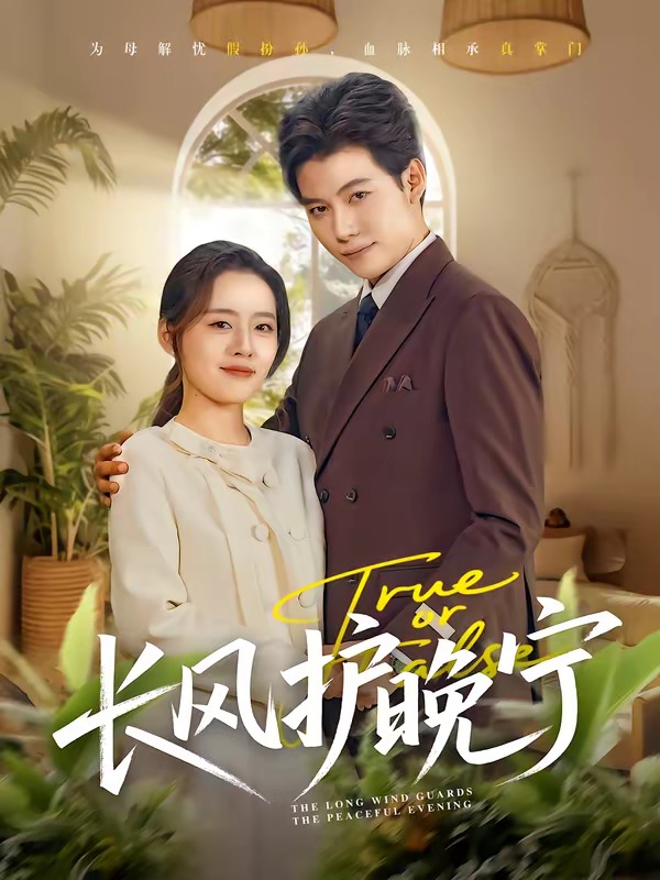 电影：长风护晚宁