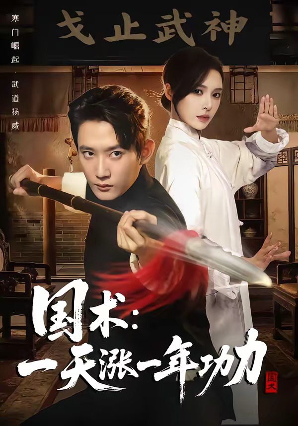 电影：国术，一天涨一年功力