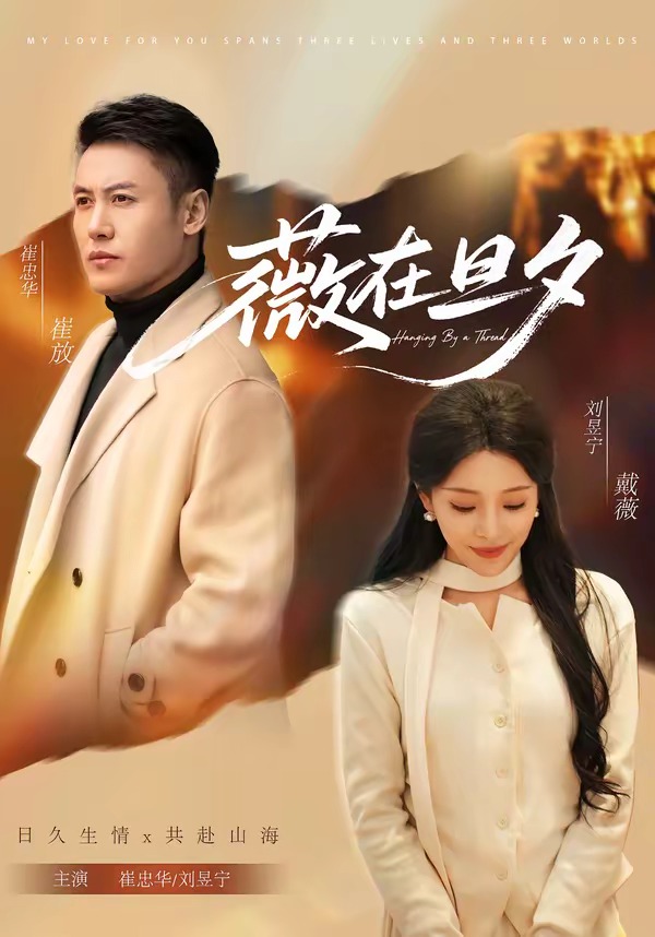 电影：薇在旦夕