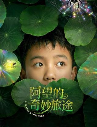 电影：阿望的奇妙旅途