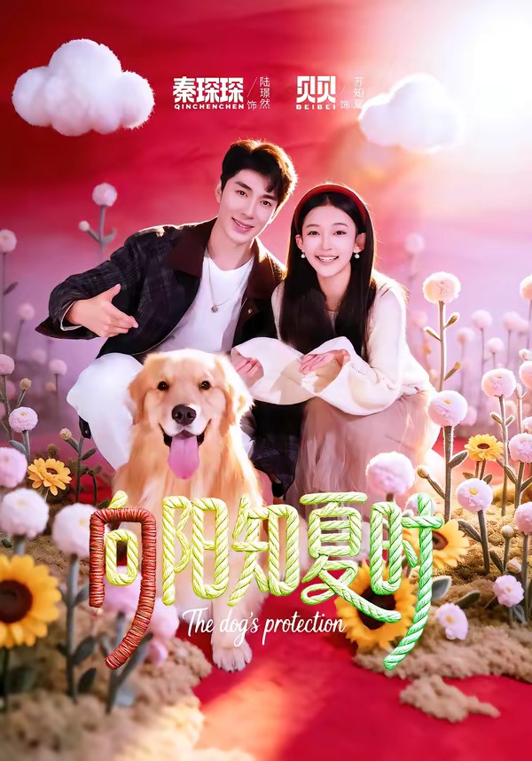 电影：向阳知夏时