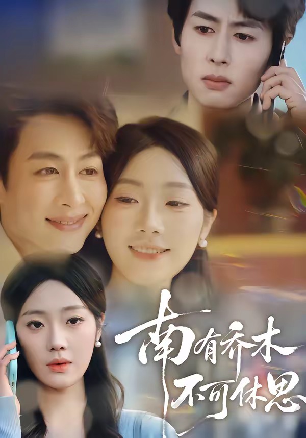 电影：南有乔木，不可休思