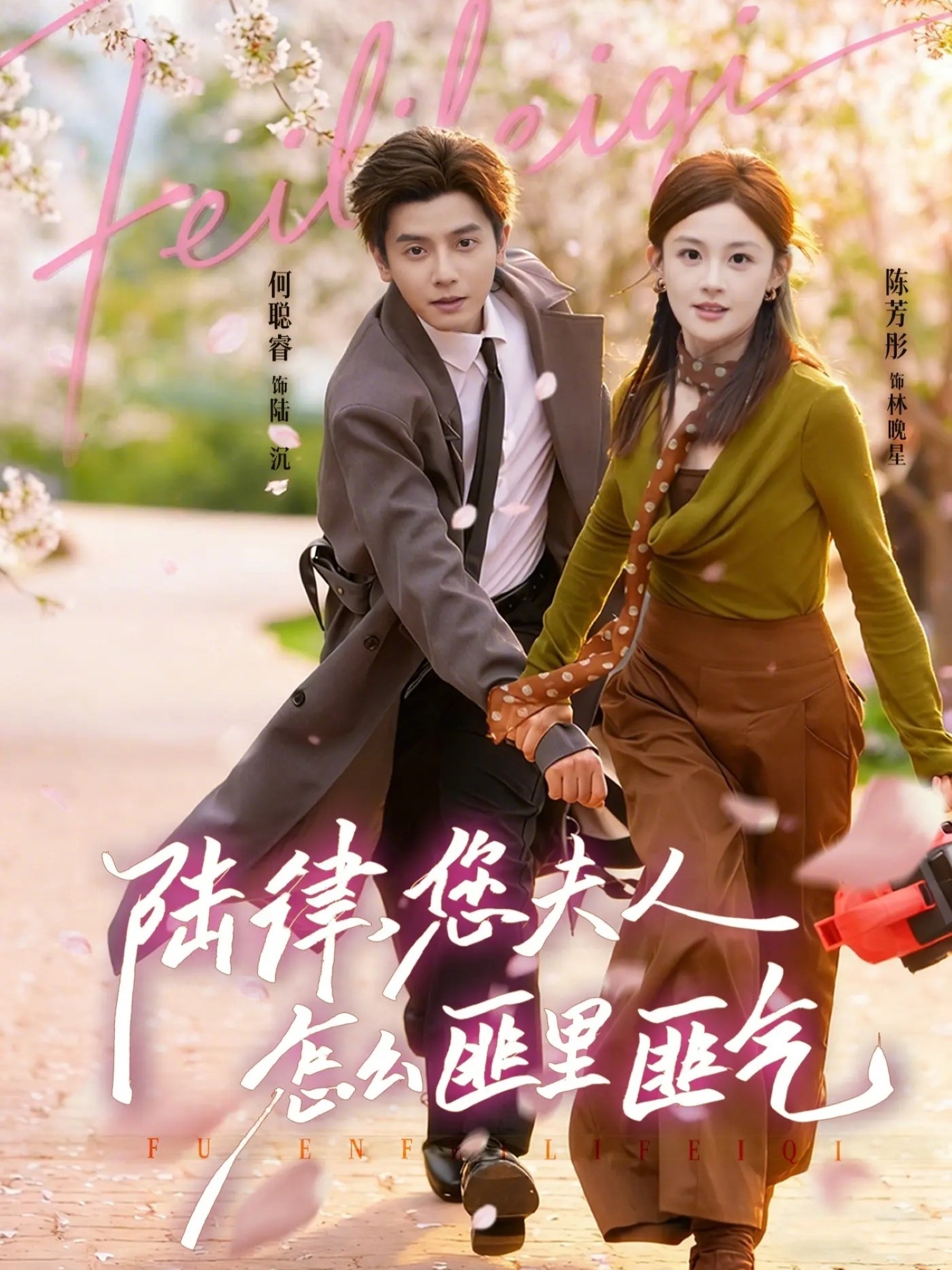 电影：陆律，您夫人怎么匪里匪气