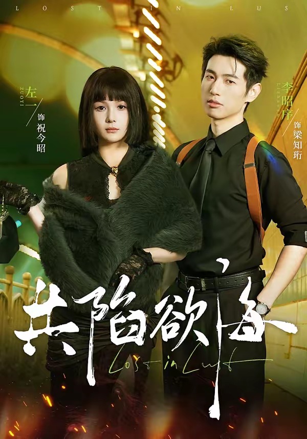 电影：共陷欲海