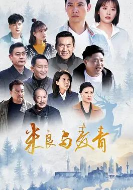 电影：米良与麦青